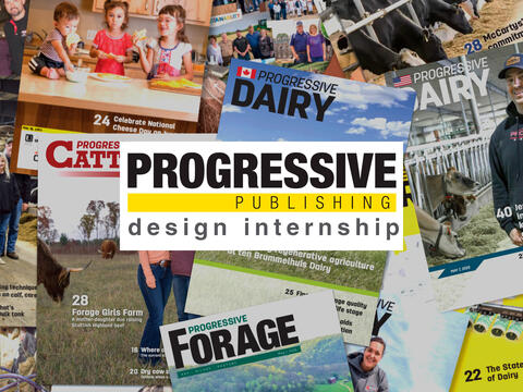 Design Internship