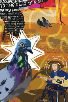 Pigeon Illustration